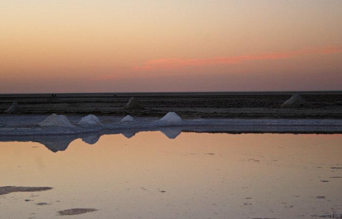 IMG_3987.JPG