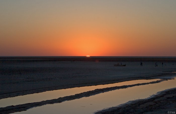 IMG_4003.jpg