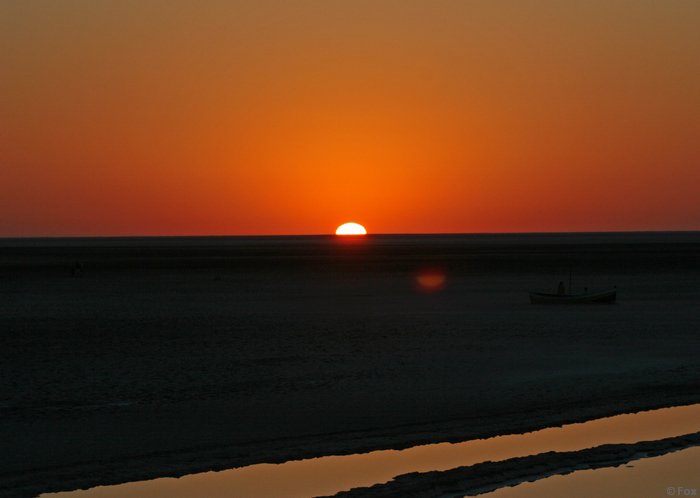 IMG_4005.JPG