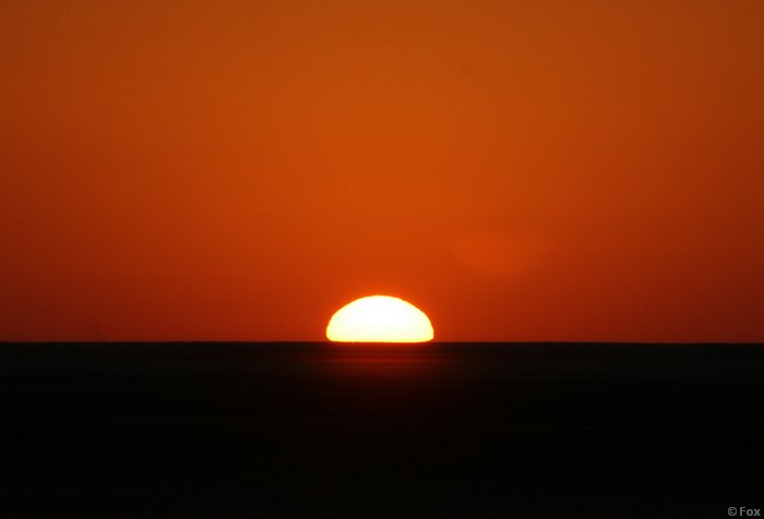 IMG_4006.JPG