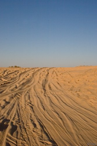 IMG_4020.jpg