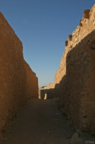 IMG_4024.JPG