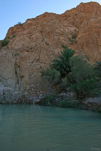 IMG_4043.JPG