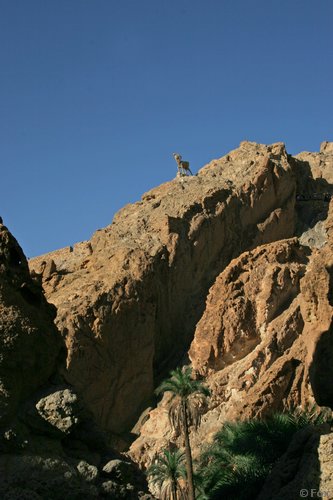 IMG_4047.JPG