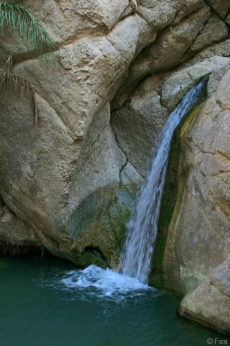 IMG_4049.JPG
