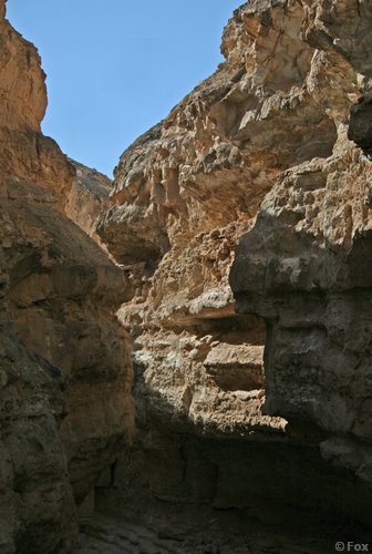 IMG_4063.JPG