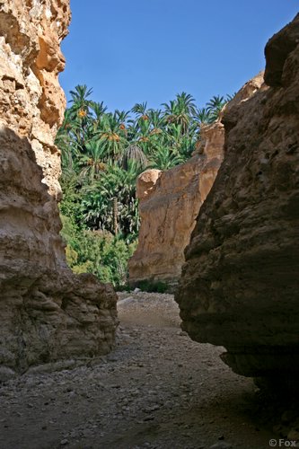 IMG_4074.JPG