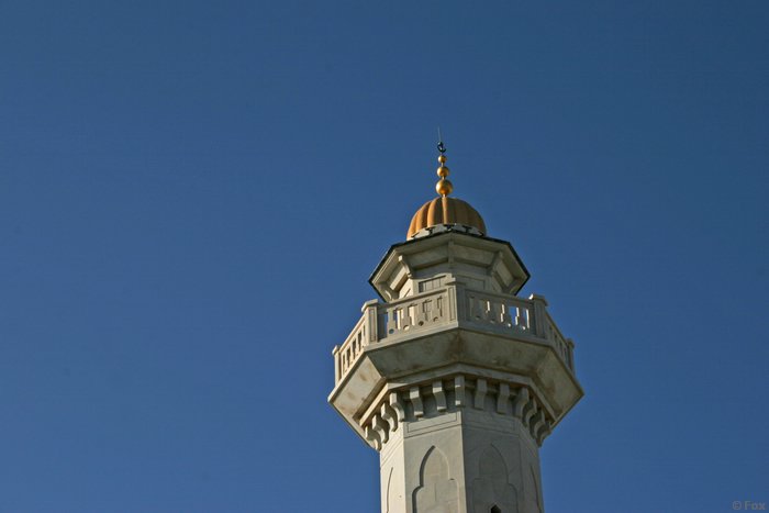 IMG_4143.JPG