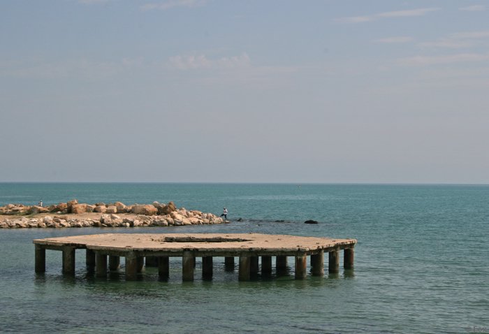 IMG_4171.JPG