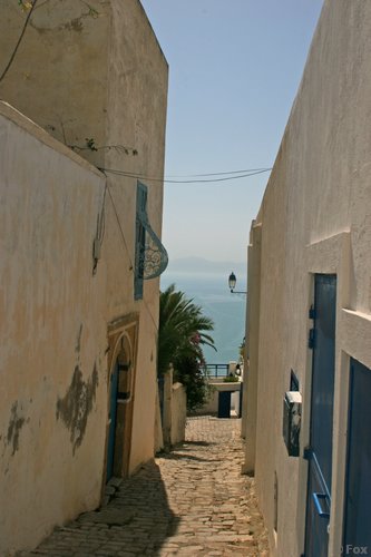 IMG_4206.JPG