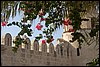 IMG_3764.jpg