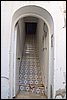 IMG_3786.jpg