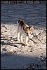 IMG_3819.jpg