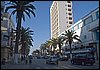 IMG_3826.jpg