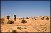 IMG_3876.jpg