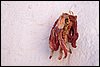 IMG_3879.jpg