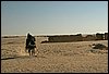 IMG_3932.JPG