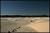 IMG_3934.JPG