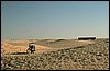 IMG_3944.JPG