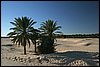 IMG_3945.JPG