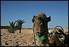 IMG_3949.JPG