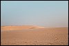 IMG_3967.jpg