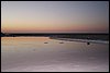 IMG_3986.JPG
