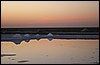 IMG_3987.JPG
