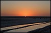 IMG_4003.jpg