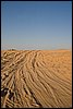 IMG_4020.jpg