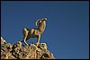 IMG_4037.JPG