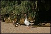IMG_4061.JPG