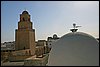 IMG_4082.jpg