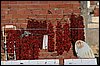 IMG_4087.JPG