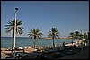 IMG_4127.JPG