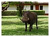 P5310050.JPG