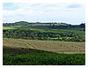 P5310015.JPG