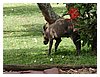 P5310043.JPG