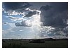 P5310051.JPG