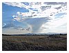 P5310055.JPG