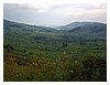 P6010194.JPG