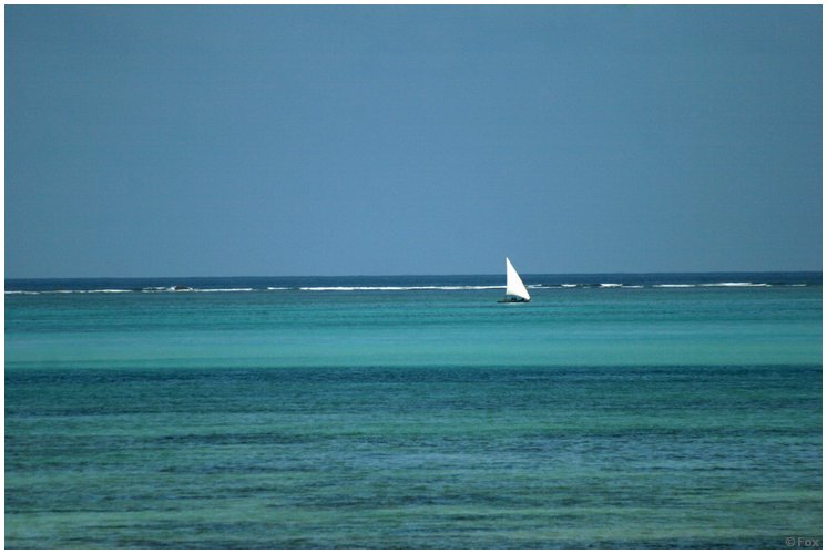 zanzibar_fav (01).JPG