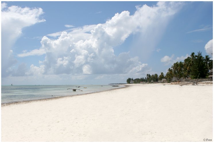 zanzibar_fav (02).JPG