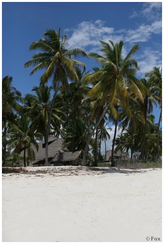 zanzibar_fav (04).JPG