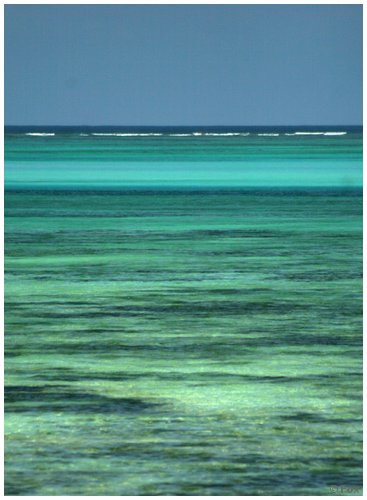 zanzibar_fav (05).JPG