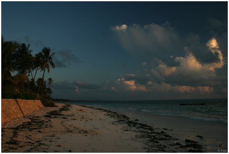 zanzibar_fav (13).JPG