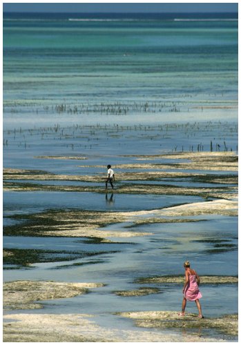 zanzibar_fav (18).JPG