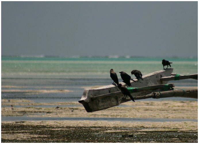 zanzibar_fav (22).JPG