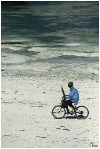 zanzibar_fav (25).JPG