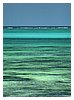 zanzibar_fav (05).JPG